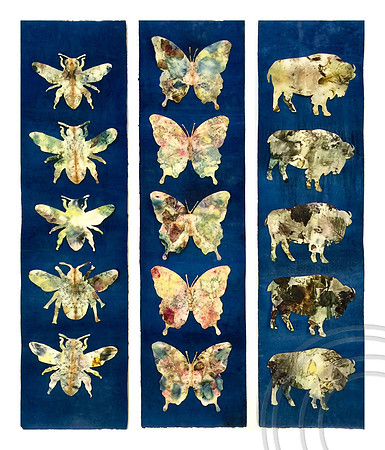 Bees, Butterlies and Buffalo